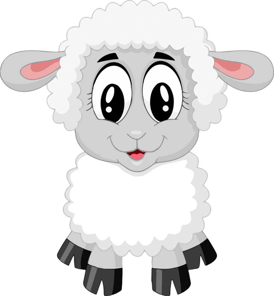 lamb, sheep, cute-1388937.jpg